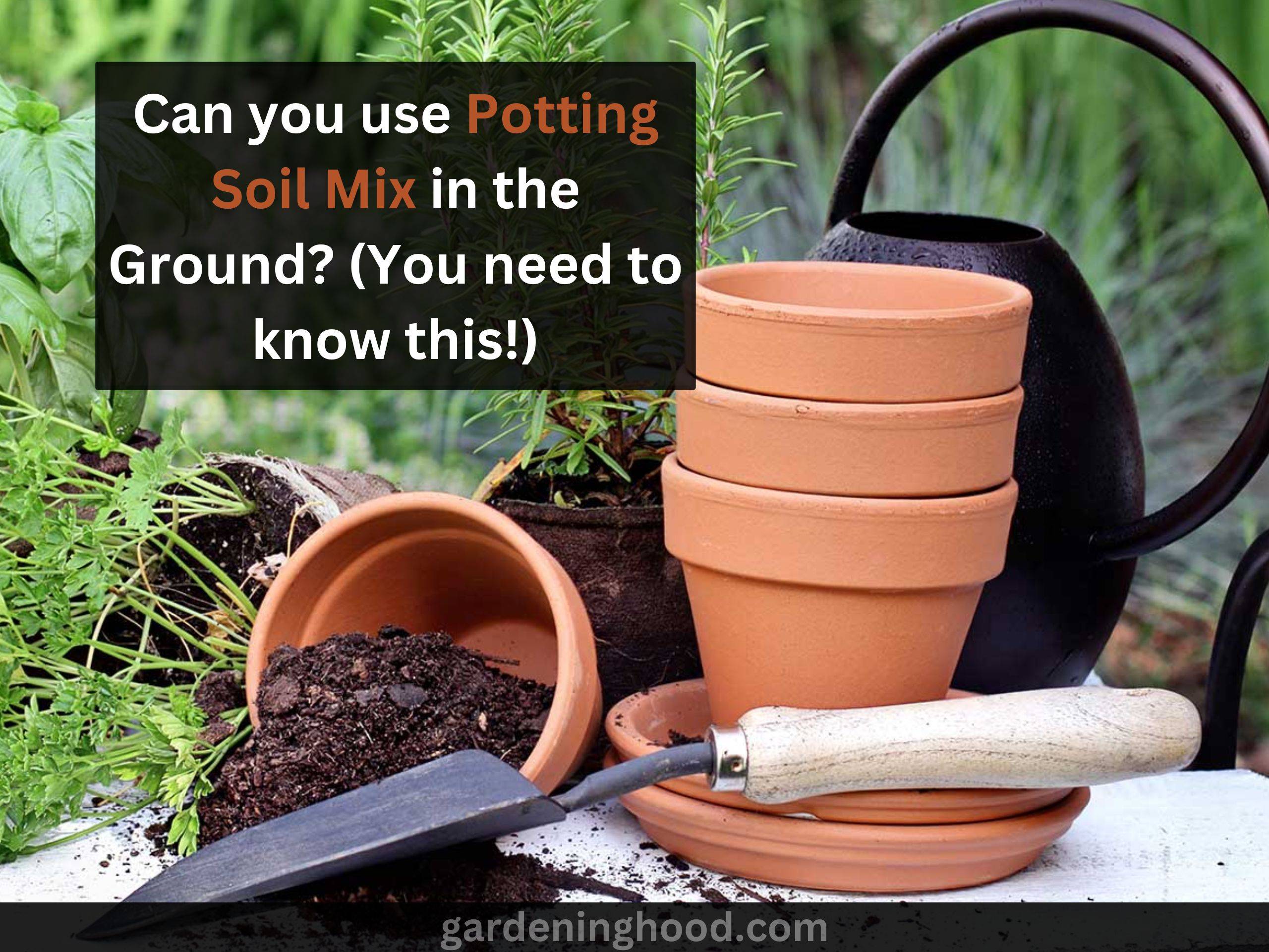 Can you use Potting Soil Mix in the Ground? (You need to know this!)
