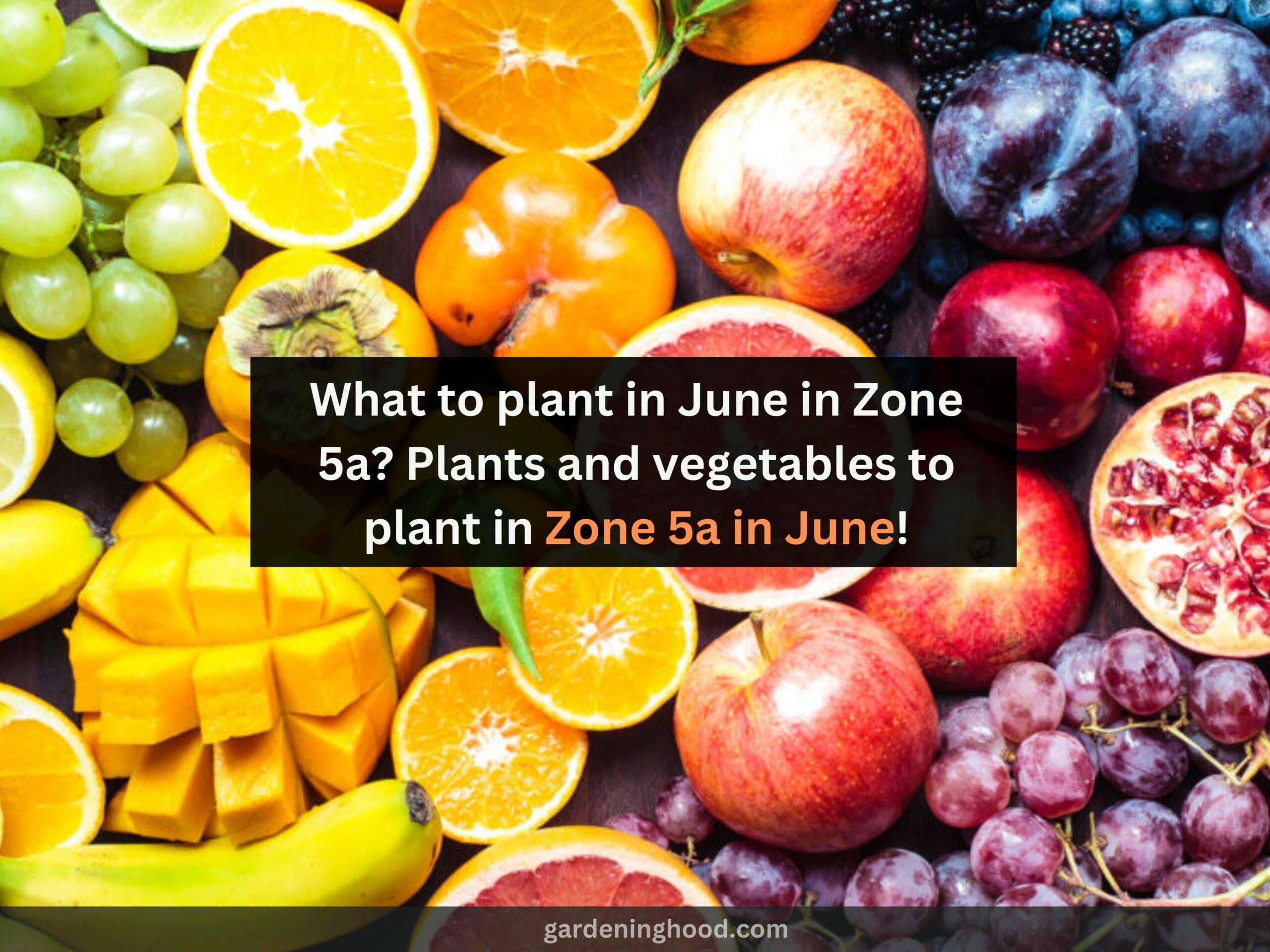 What to plant in June in Zone 5a? Plants and vegetables to plant in Zone 5a in June!