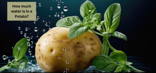 How much water is in a Potato?