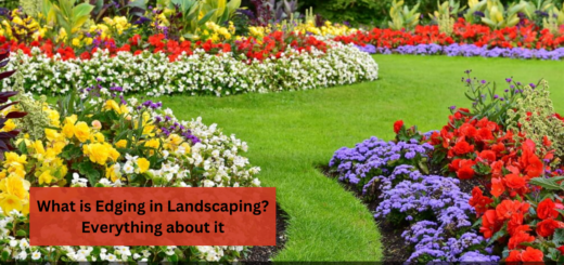 What is Edging in Landscaping? Everything about it