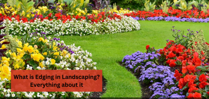 What is Edging in Landscaping? Everything about it