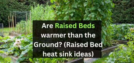 Are Raised Beds warmer than the Ground? (Raised Bed heat sink ideas)