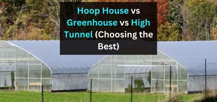 Hoop House vs Greenhouse vs High Tunnel (Choosing the Best)