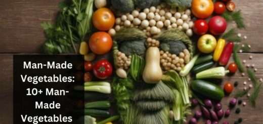 Man-Made Vegetables: 10+ Man-Made Vegetables 