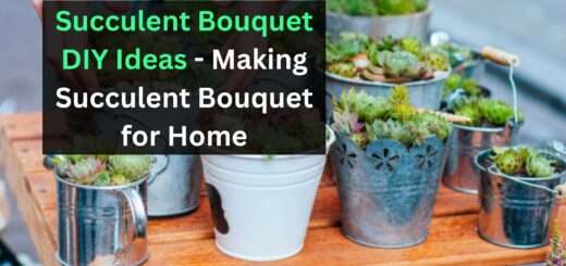 Succulent Bouquet DIY Ideas - Making Succulent Bouquet for Home