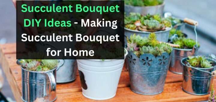 Succulent Bouquet DIY Ideas - Making Succulent Bouquet for Home