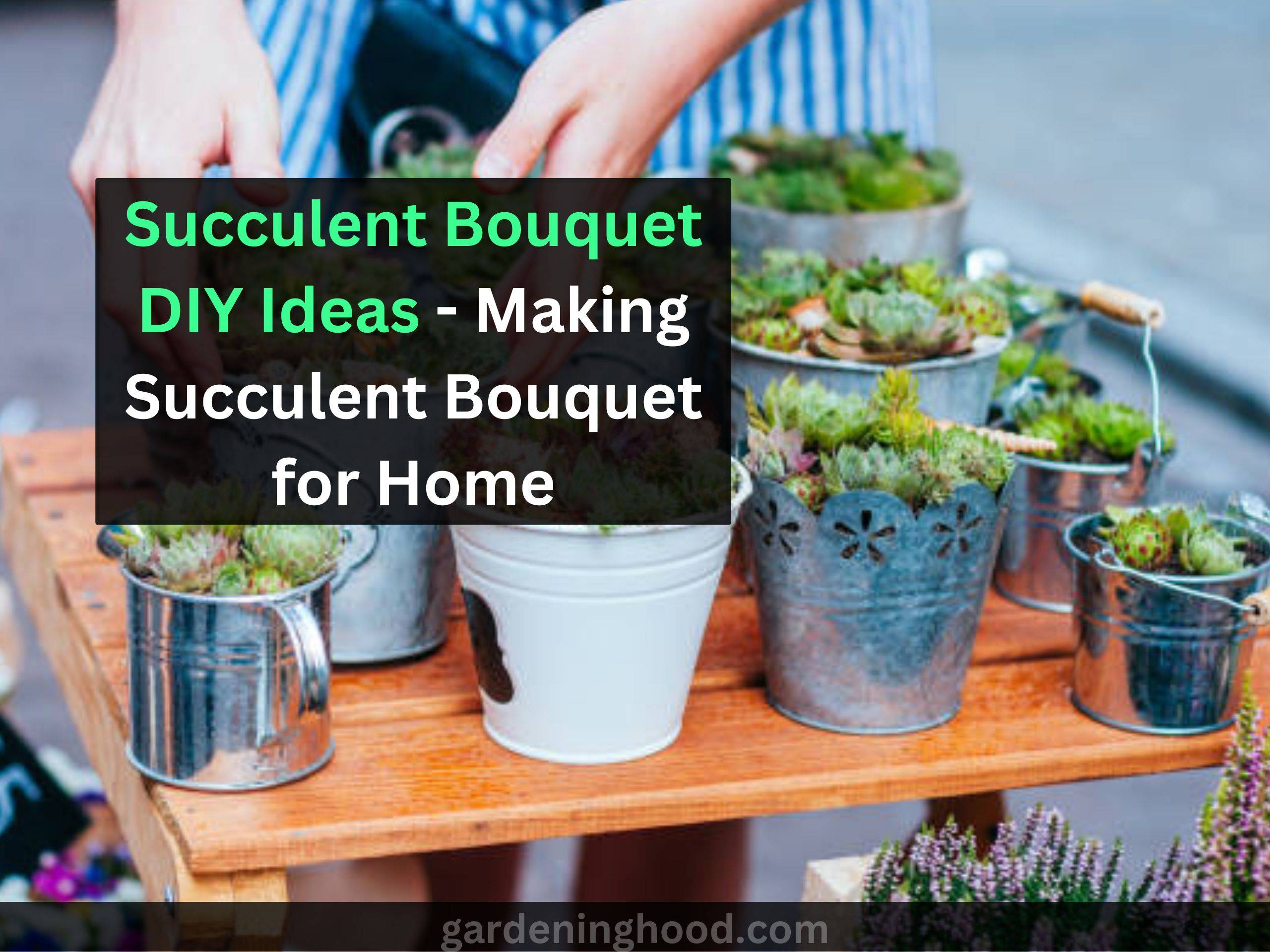 Succulent Bouquet DIY Ideas - Making Succulent Bouquet for Home