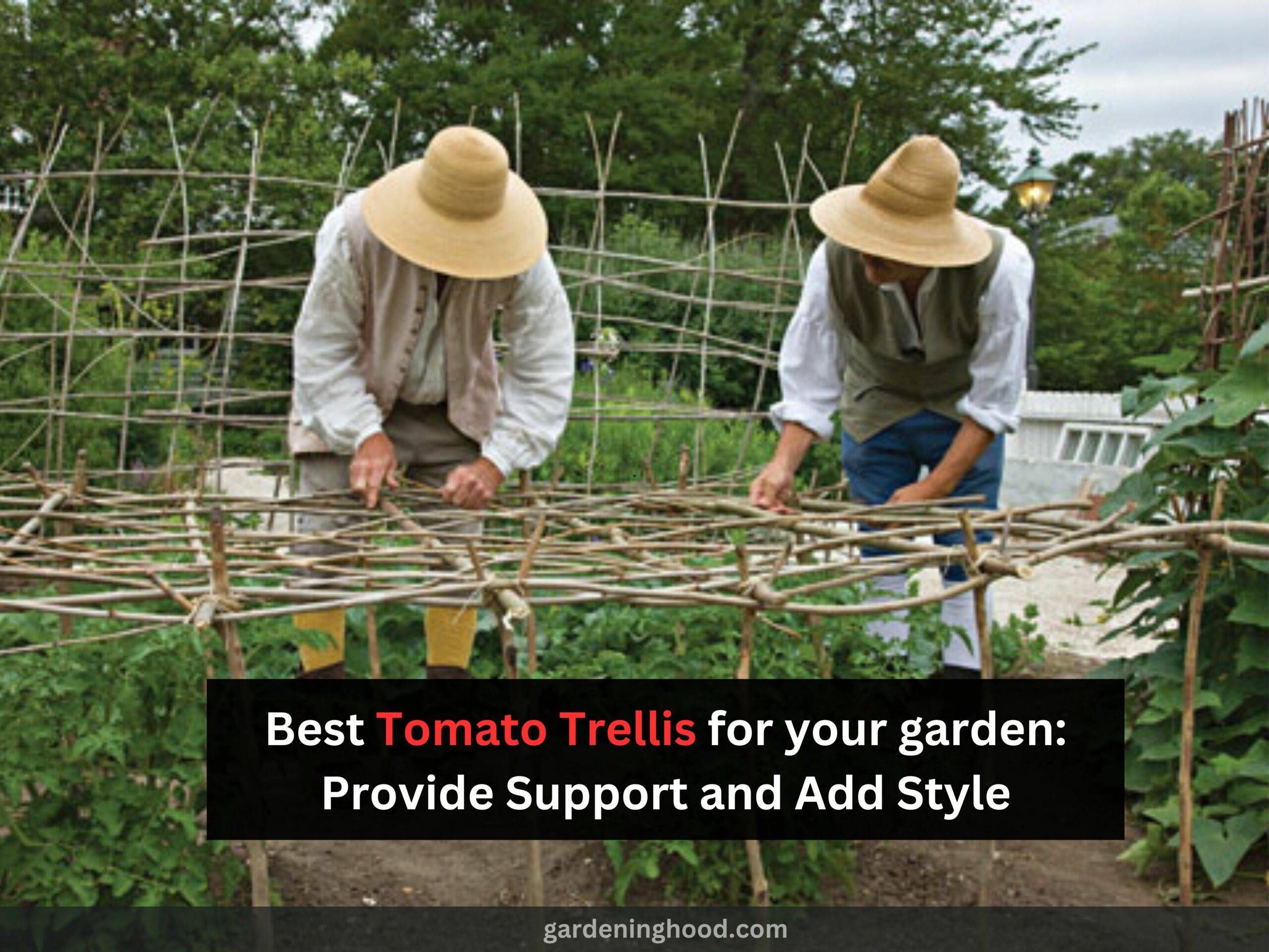 Best Tomato Trellis for your garden: Provide Support and Add Style