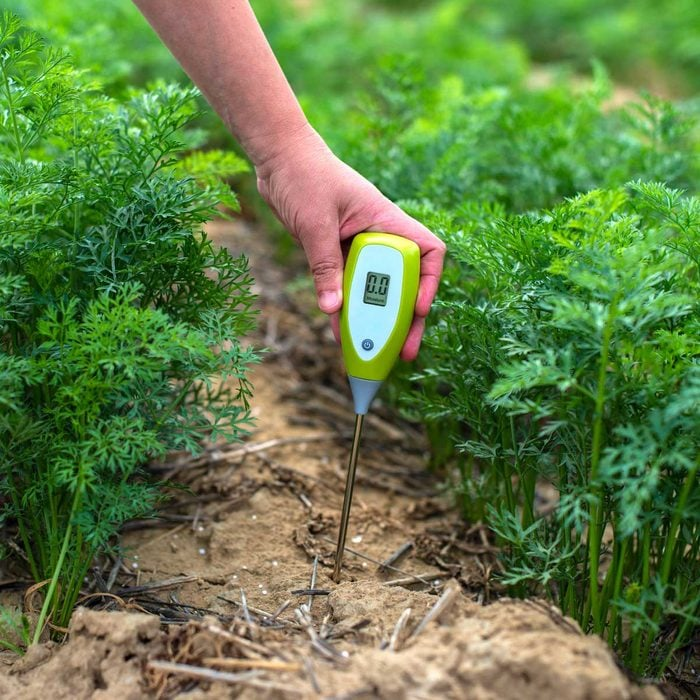 How To Raise pH In Soil: 6+ Ways To Raise pH Levels 