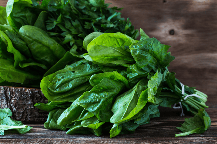 Is Spinach Man-Made: Everything You Need to Know 