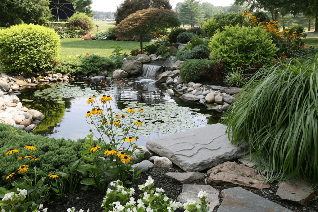 15+ Koi Pond Ideas For Your Backyard