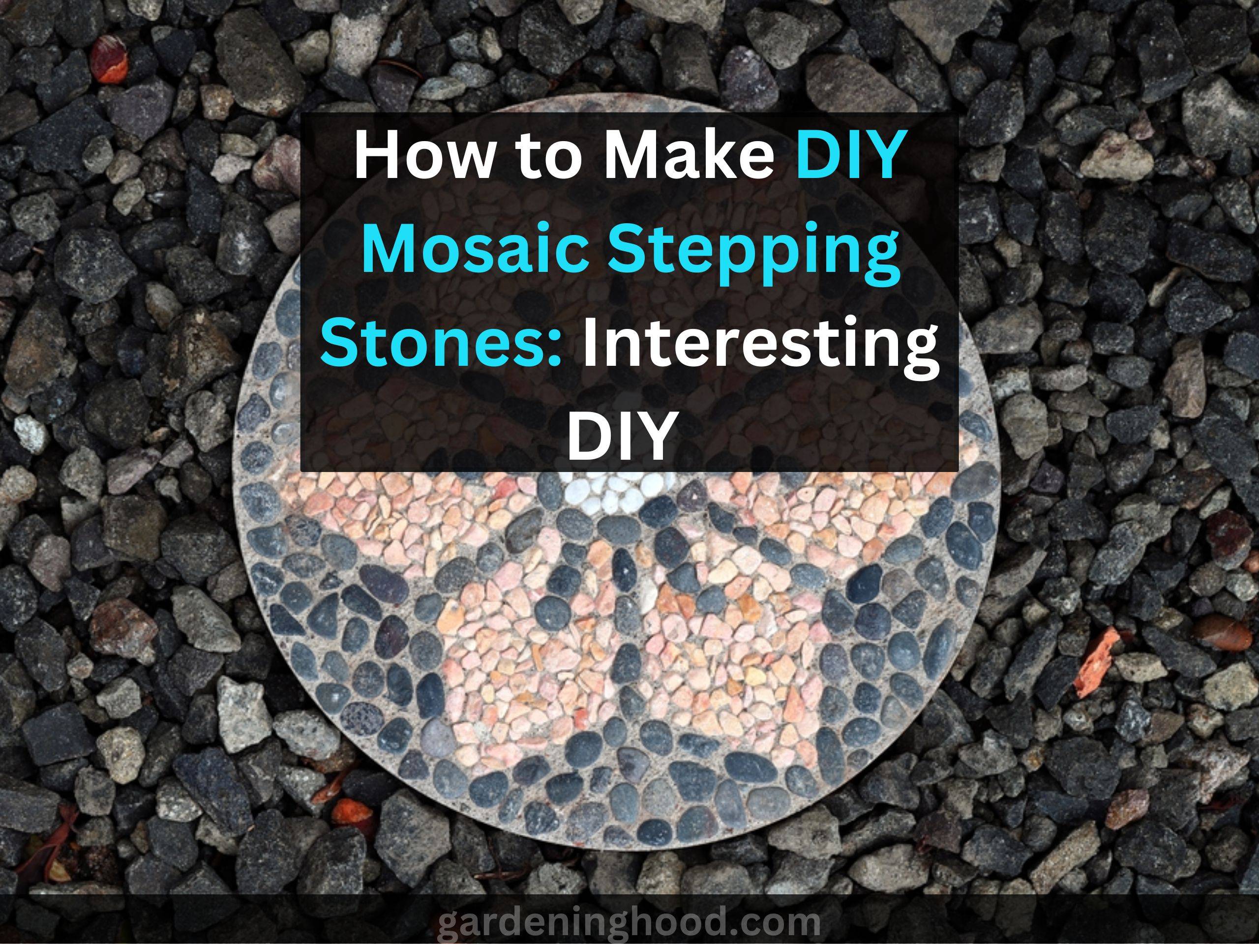 How to Make DIY Mosaic Stepping Stones: Interesting DIY