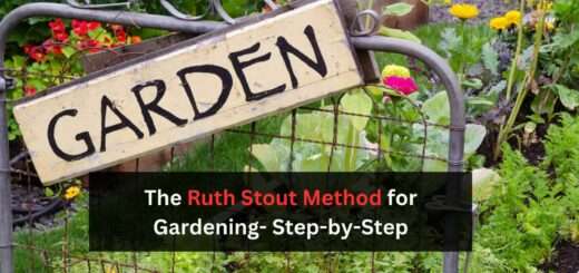 The Ruth Stout Method for Gardening- Step-by-Step