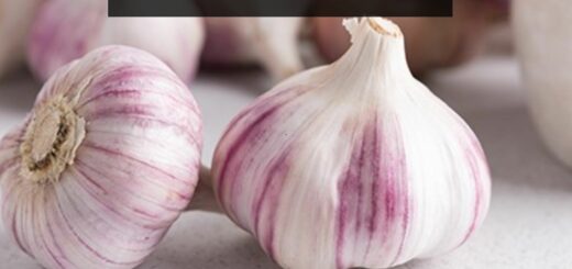 Is Garlic Man-Made: Everything You Need to know about them