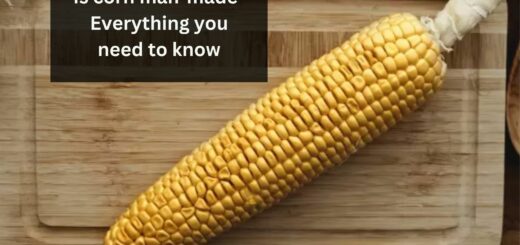 Is corn man-made- Everything you need to know