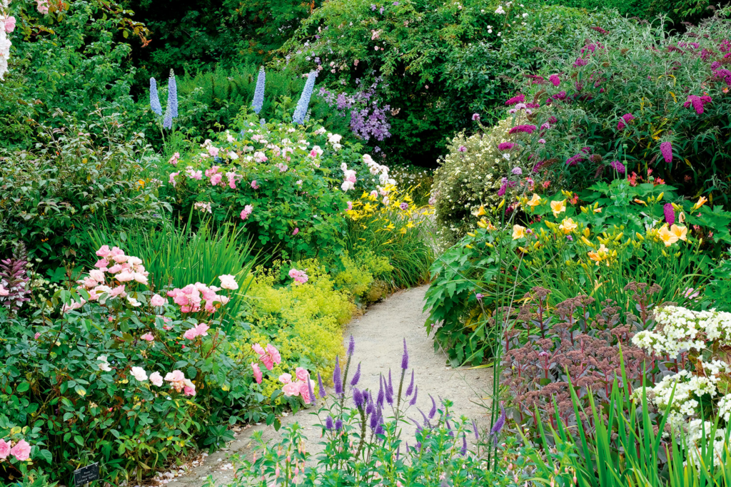 Best Edging Plants For a Stunning Lawn