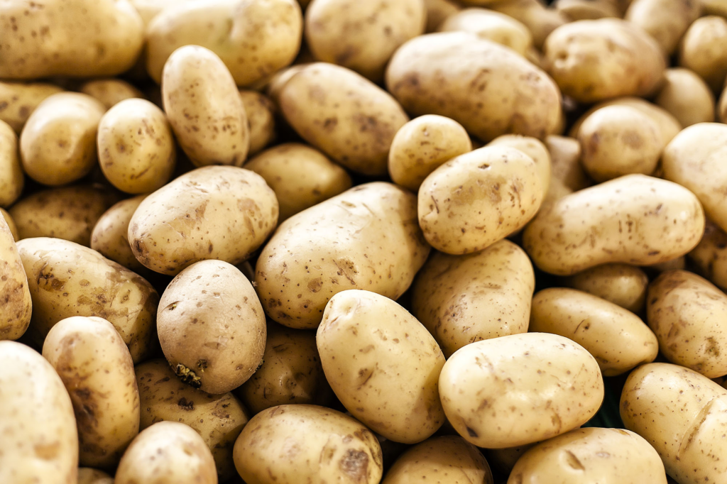Are Potatoes Man Made: The Ultimate History of Potato Plant