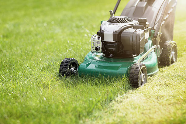 What To Do with Old Lawnmowers? 5+ Types of Lawnmowers 