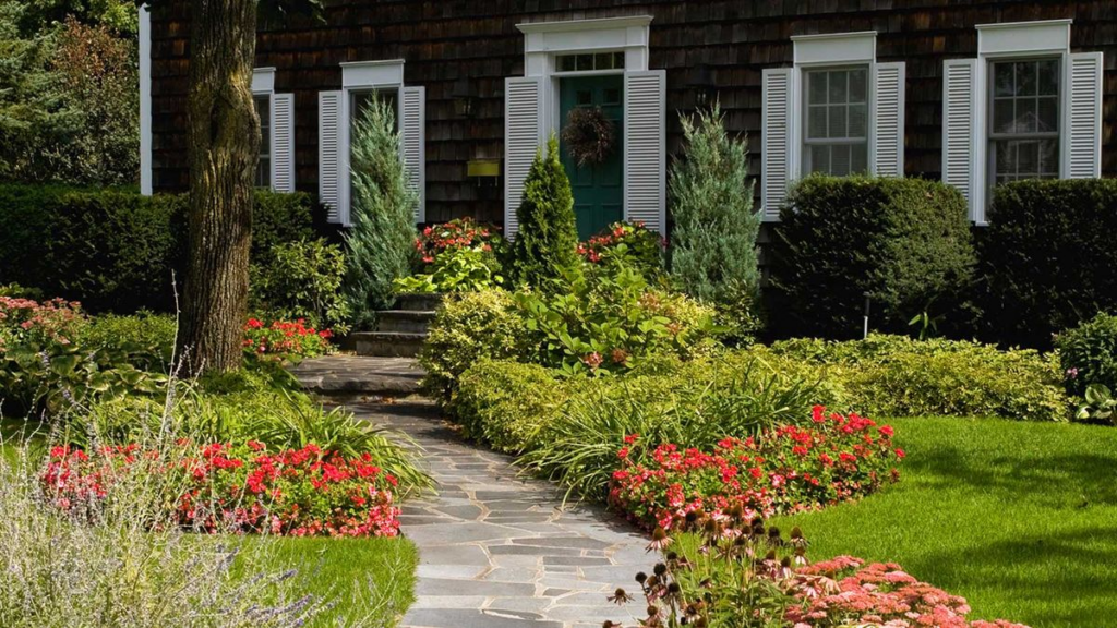 10+ Low-Maintenance Foundation Plants For Your Front Yard 
