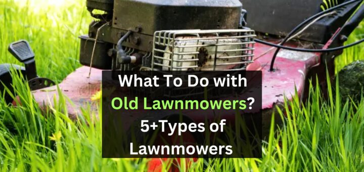 What To Do with Old Lawnmowers? 5+Types of Lawnmowers 
