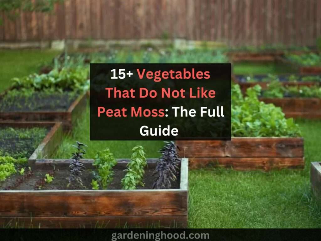 15 Vegetables That Do Not Like Peat Moss The Full Guide