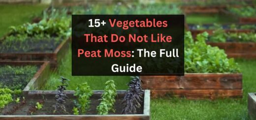 15 Vegetables That Do Not Like Peat Moss: The Full Guide