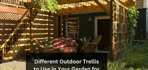 Different Outdoor Trellis to Use in Your Garden for Growing Plants