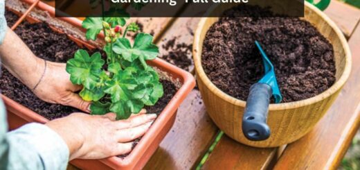 Ways to Create a Kiddie Pool for Gardening- Full Guide